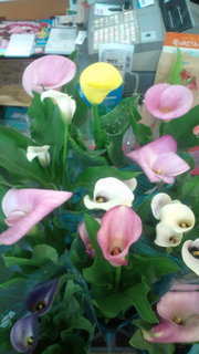 20120417154313.jpg