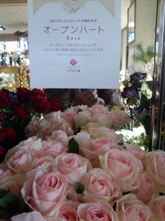 IMG_20130127_105232.jpg
