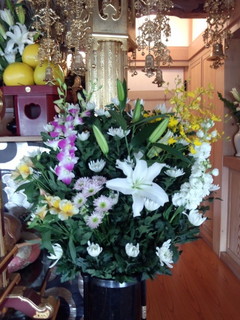 IMG_20130208_124032.jpg