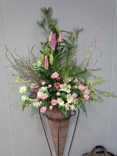 IMG_20130219_104655.jpg