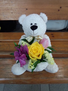 IMG_20130310_145309.jpg
