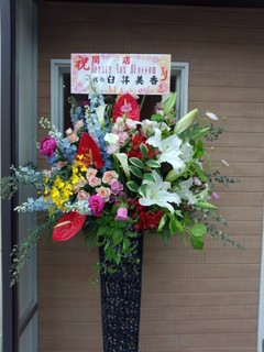 IMG_20130424_112610.jpg