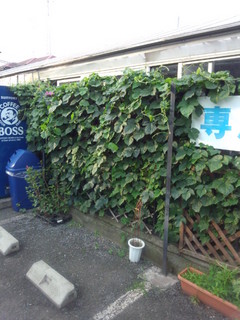 IMG_20130625_174643.jpg