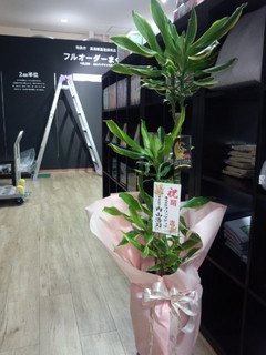 IMG_20130712_155657.jpg