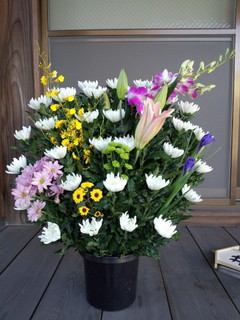 houji1.5.jpg